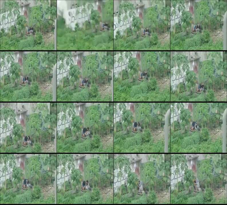 Ngintip Jilbab Lagi Ngewe Di Belakang Sekolah Ketahuan